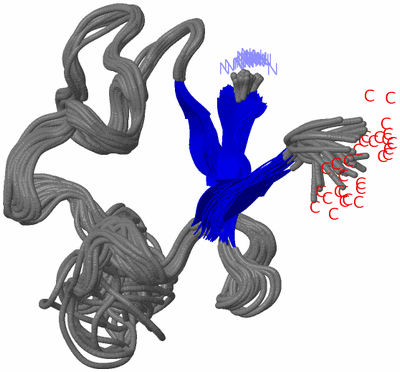 Image NMR Structure - all models