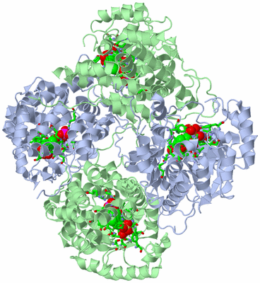 Image Biol. Unit 1 - sites