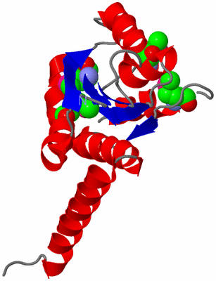 Image Asymmetric Unit