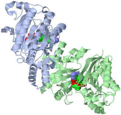 Image Asym./Biol. Unit