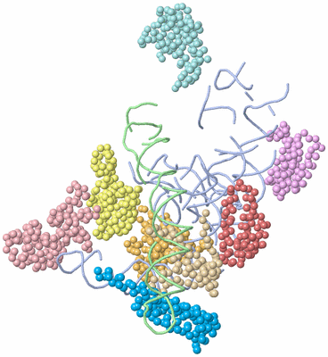 Image Asym./Biol. Unit