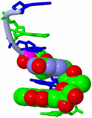 Image Asymmetric Unit