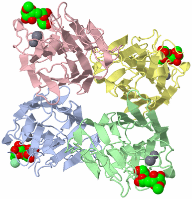 Image Asym./Biol. Unit