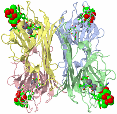 Image Asym./Biol. Unit - sites