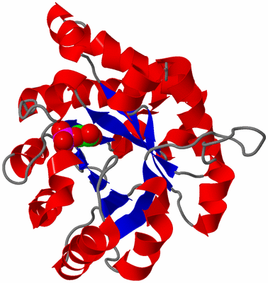 Image Asymmetric Unit