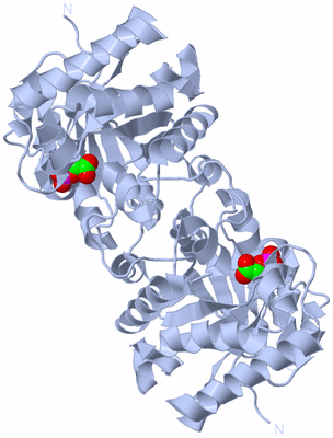 Image Biological Unit 1