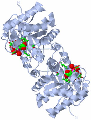 Image Biol. Unit 1 - sites