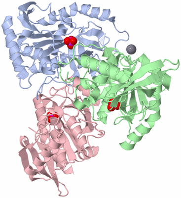 Image Asym./Biol. Unit