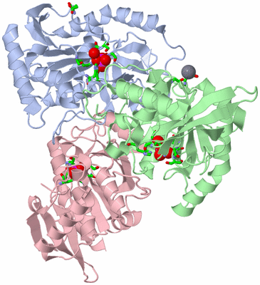 Image Asym./Biol. Unit - sites