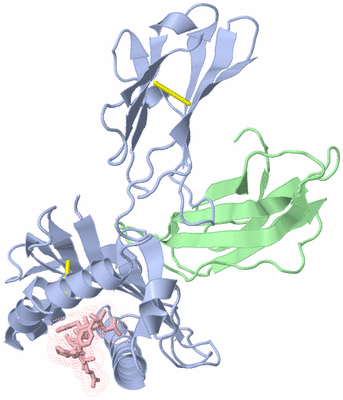 Image Asym./Biol. Unit