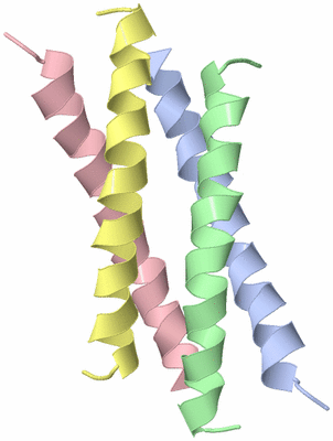 Image NMR Structure - model 1