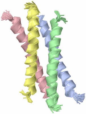 Image NMR Structure - all models