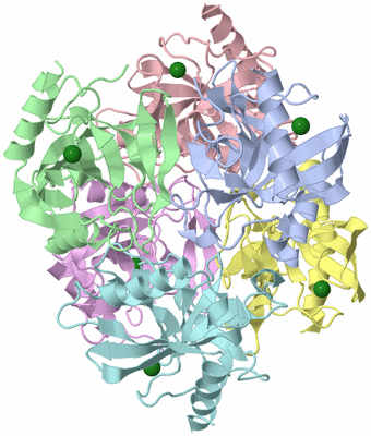 Image Asym./Biol. Unit