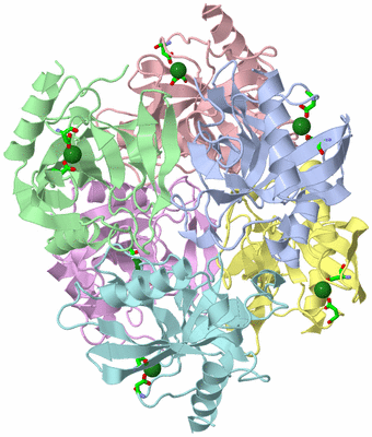 Image Asym./Biol. Unit - sites
