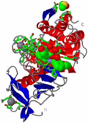 Image Asym./Biol. Unit - sites