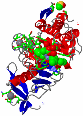 Image Asym./Biol. Unit - sites