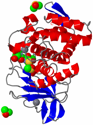 Image Asym./Biol. Unit