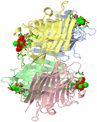 Image Asym./Biol. Unit - sites