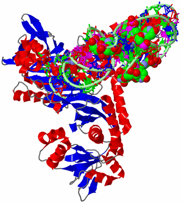 Image Asym./Biol. Unit - sites