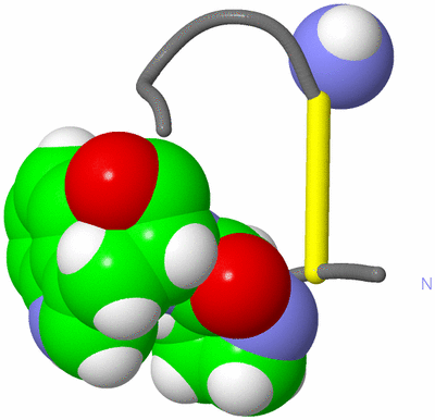 Image NMR Structure - model 1