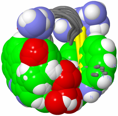 Image NMR Structure - all models