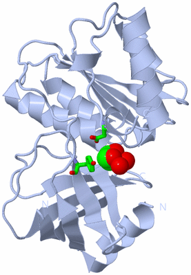 Image Biol. Unit 1 - sites