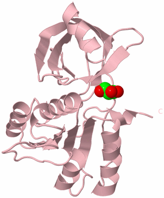 Image Biological Unit 3