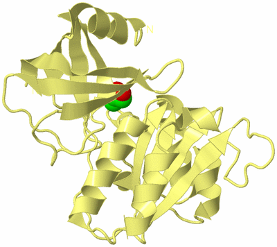 Image Biological Unit 4