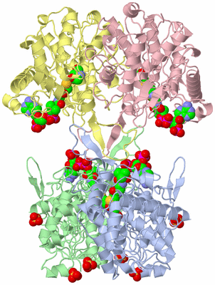 Image Asym./Biol. Unit