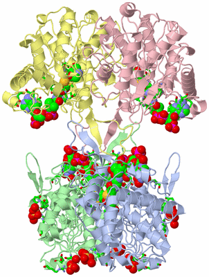 Image Asym./Biol. Unit - sites