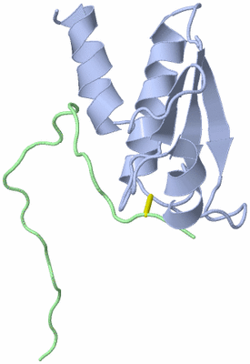 Image NMR Structure - model 1