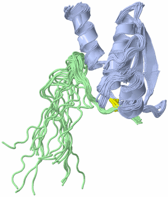 Image NMR Structure - all models