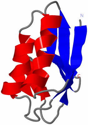 Image NMR Structure - model 1