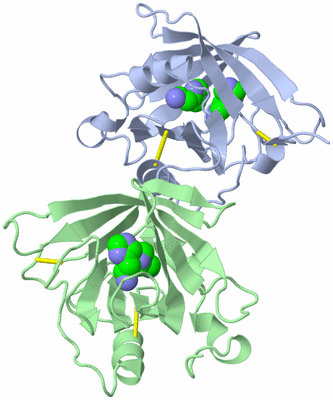 Image Asymmetric Unit