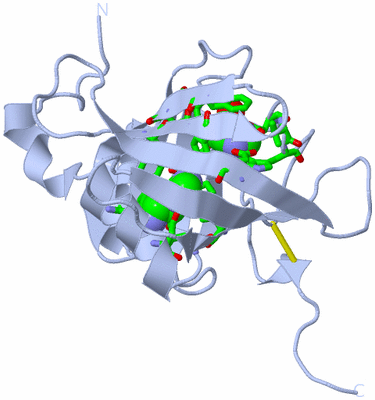 Image Biol. Unit 1 - sites