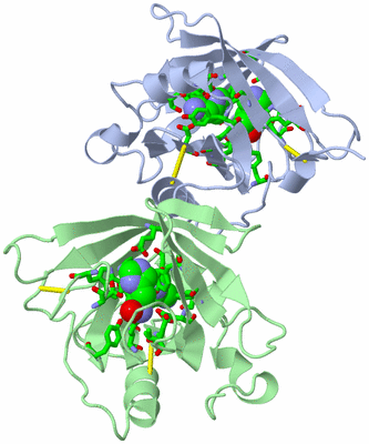 Image Asym. Unit - sites