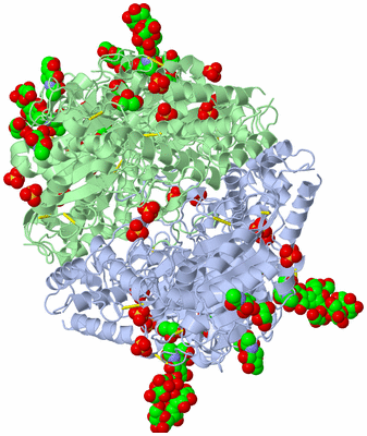 Image Biological Unit 1