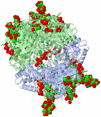 Image Biol. Unit 1 - sites