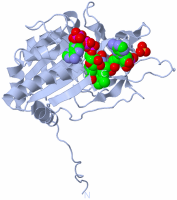 Image Biological Unit 1