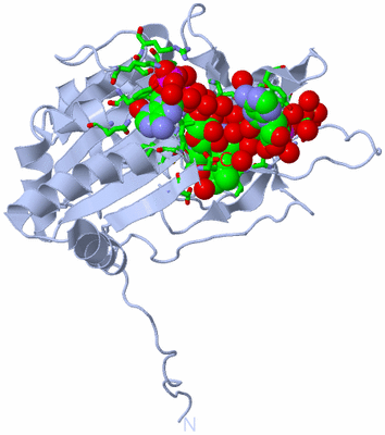 Image Biol. Unit 1 - sites