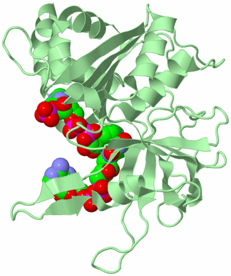 Image Biological Unit 2