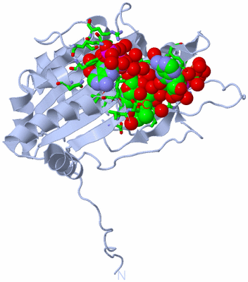 Image Biol. Unit 1 - sites