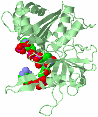 Image Biological Unit 2