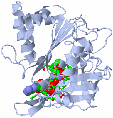 Image Biol. Unit 1 - sites