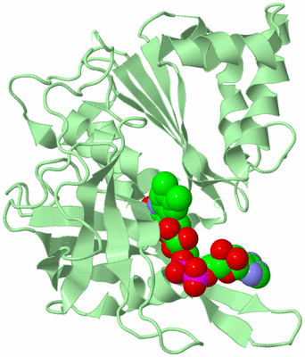 Image Biological Unit 2