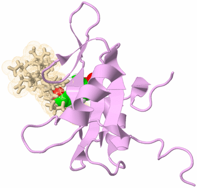 Image NMR Structure - model 1