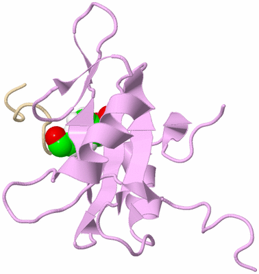 Image NMR Structure - all models