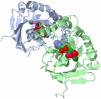 Image Asymmetric Unit
