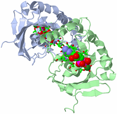 Image Asym. Unit - sites