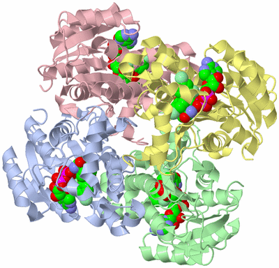 Image Asym./Biol. Unit